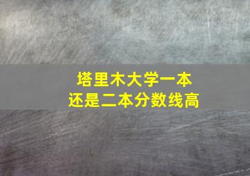 塔里木大学一本还是二本分数线高