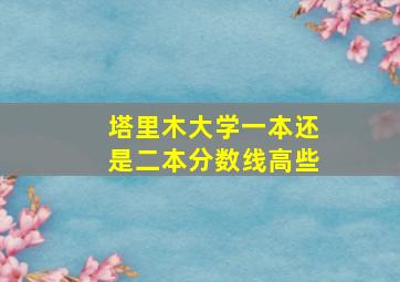 塔里木大学一本还是二本分数线高些