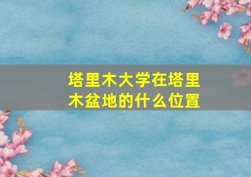 塔里木大学在塔里木盆地的什么位置