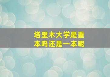 塔里木大学是重本吗还是一本呢