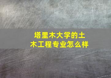 塔里木大学的土木工程专业怎么样