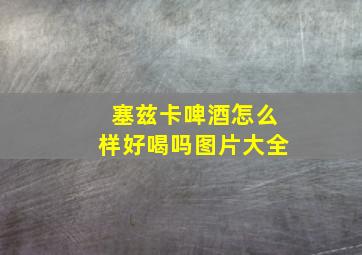 塞兹卡啤酒怎么样好喝吗图片大全