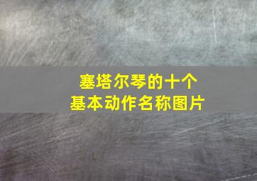 塞塔尔琴的十个基本动作名称图片