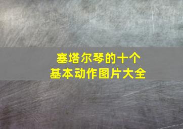 塞塔尔琴的十个基本动作图片大全