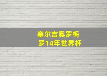 塞尔吉奥罗梅罗14年世界杯