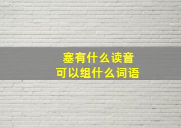 塞有什么读音可以组什么词语