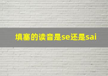 填塞的读音是se还是sai