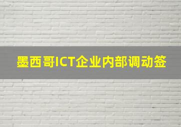 墨西哥ICT企业内部调动签