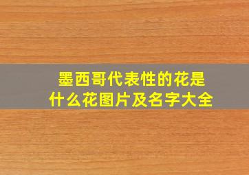 墨西哥代表性的花是什么花图片及名字大全