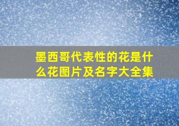 墨西哥代表性的花是什么花图片及名字大全集