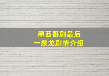 墨西哥剧最后一条龙剧情介绍