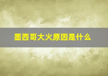 墨西哥大火原因是什么