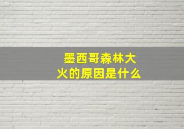 墨西哥森林大火的原因是什么