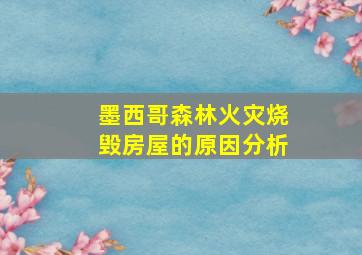 墨西哥森林火灾烧毁房屋的原因分析