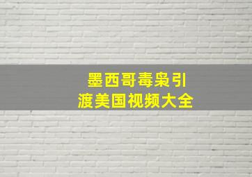 墨西哥毒枭引渡美国视频大全