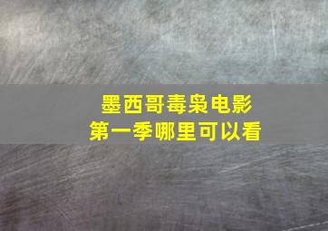 墨西哥毒枭电影第一季哪里可以看