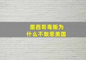 墨西哥毒贩为什么不敢惹美国