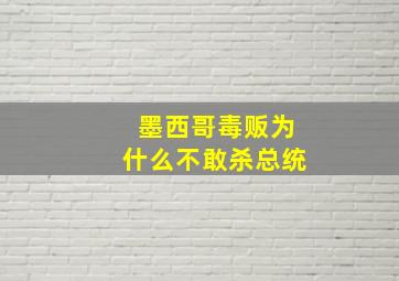 墨西哥毒贩为什么不敢杀总统