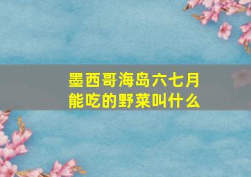 墨西哥海岛六七月能吃的野菜叫什么