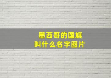 墨西哥的国旗叫什么名字图片