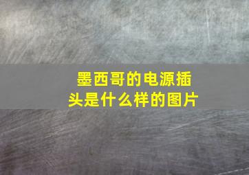 墨西哥的电源插头是什么样的图片