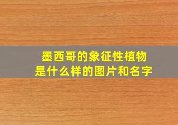 墨西哥的象征性植物是什么样的图片和名字