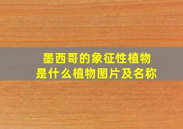 墨西哥的象征性植物是什么植物图片及名称