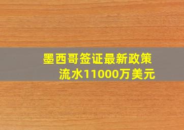 墨西哥签证最新政策流水11000万美元