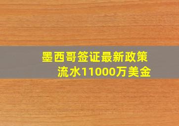 墨西哥签证最新政策流水11000万美金