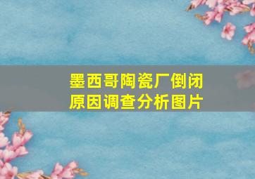 墨西哥陶瓷厂倒闭原因调查分析图片