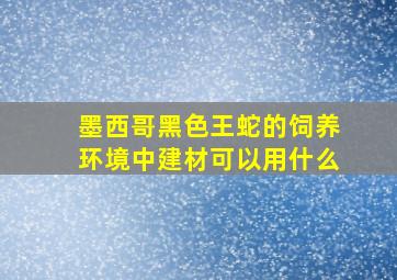 墨西哥黑色王蛇的饲养环境中建材可以用什么