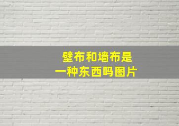 壁布和墙布是一种东西吗图片