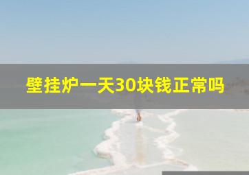 壁挂炉一天30块钱正常吗