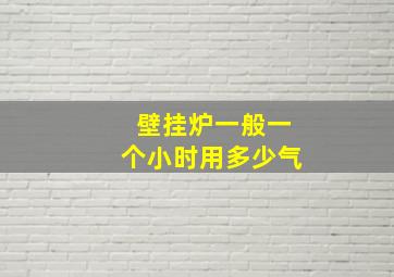 壁挂炉一般一个小时用多少气