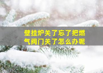 壁挂炉关了忘了把燃气阀门关了怎么办呢