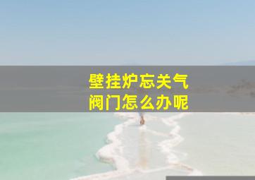 壁挂炉忘关气阀门怎么办呢