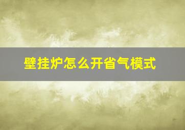 壁挂炉怎么开省气模式