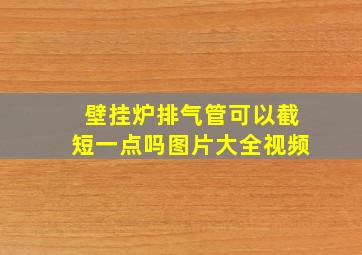 壁挂炉排气管可以截短一点吗图片大全视频