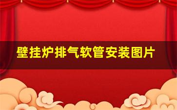 壁挂炉排气软管安装图片