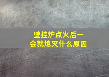 壁挂炉点火后一会就熄灭什么原因