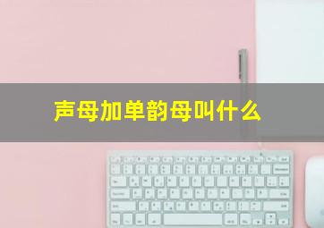 声母加单韵母叫什么