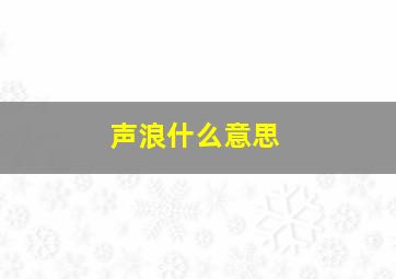 声浪什么意思