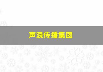 声浪传播集团