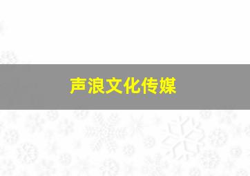 声浪文化传媒