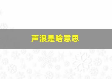 声浪是啥意思