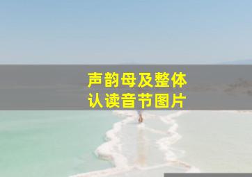 声韵母及整体认读音节图片