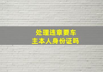 处理违章要车主本人身份证吗