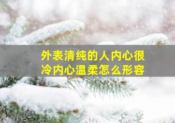 外表清纯的人内心很冷内心温柔怎么形容