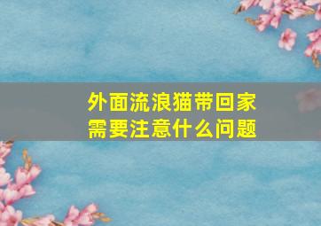 外面流浪猫带回家需要注意什么问题