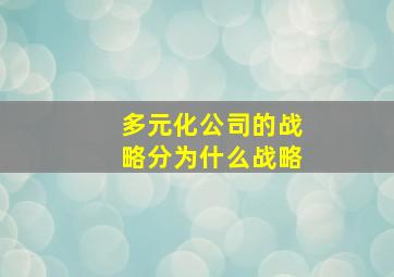 多元化公司的战略分为什么战略